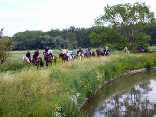 210197743_4221463907903784_5939172579334473038_n