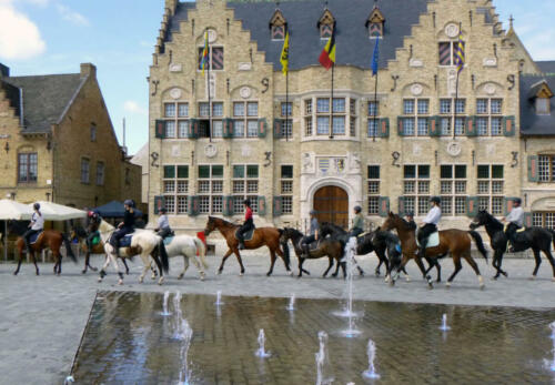 210965830_4221463574570484_2225404817078133932_n