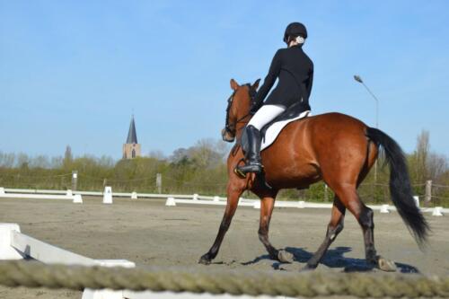 278116150_1649303508755385_5623901654071841361_n