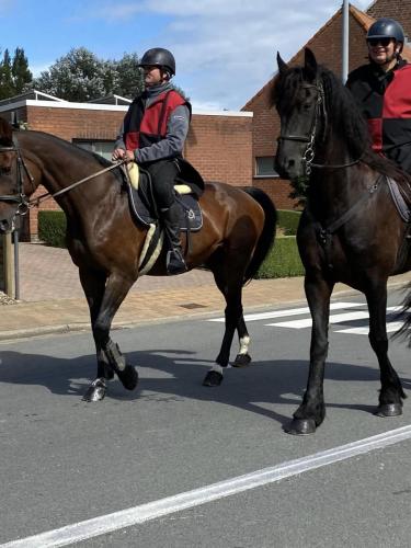 365711144 1480012319485575 2385750271364591909 n