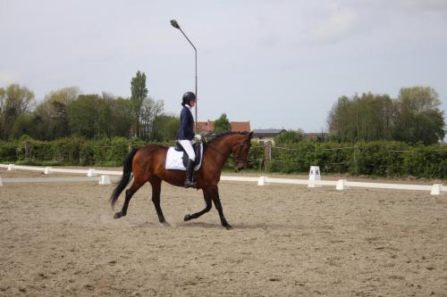 437392335 2751595658313234 1691341899445184948 n