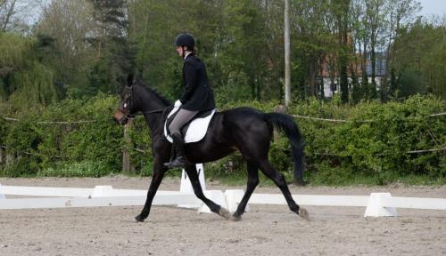 437565208 10229415554487304 1221328806619546940 n