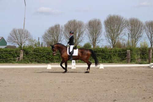 437719721 2751592101646923 1043049318492553160 n