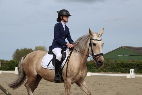 438082392 2751592204980246 8936970646029676034 n