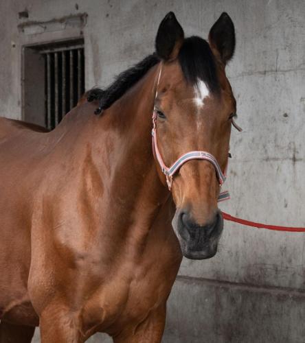 438100008 10229415545727085 4439414370144074822 n