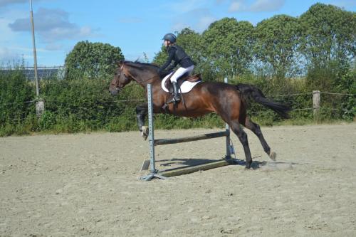 458733993 8685758864777921 6935468966113361317 n