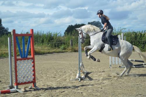 458741371 8685744028112738 6493779951528412465 n