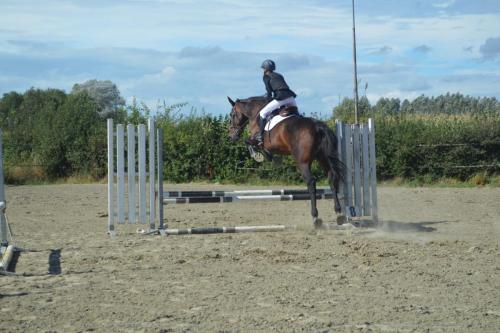 458931994 8685762084777599 3019780270266730841 n