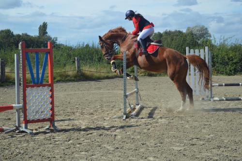 458932661 8685751184778689 3902957730817385462 n