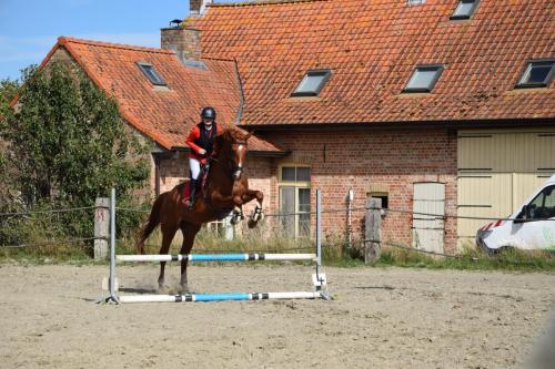 458988021 8685771294776678 7720107066147566511 n