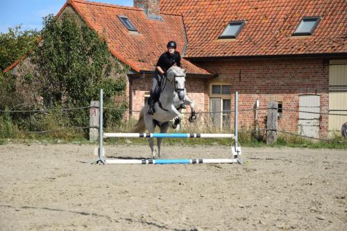 459103580 8685778534775954 8207398629424737348 n