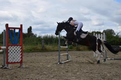 459156337 8685969221423552 7863679900745696385 n