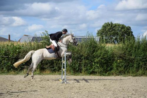 459159950 8685970421423432 1185972380715919018 n